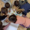 Realizacja ogólnopolskiego program edukacyjnego w oddziałach zerowych „Akademia Kici- Koci”